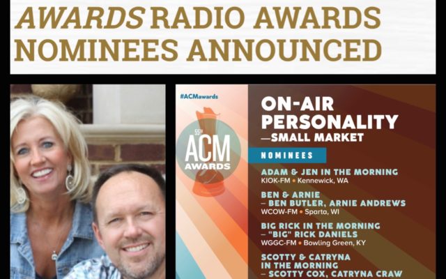 Steve and Jessica are nominated for an ACM Award!