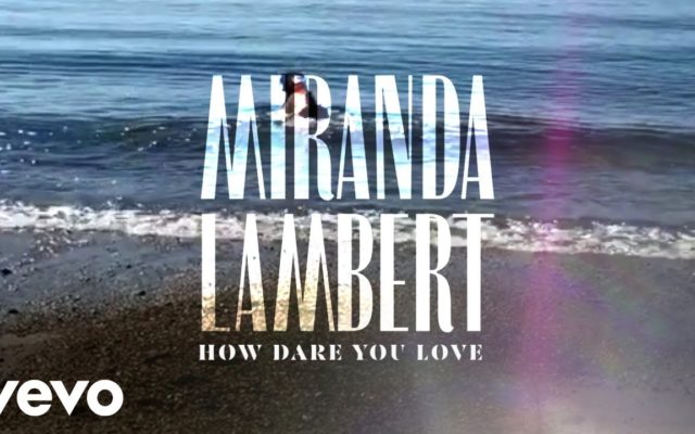 Miranda Lambert – How Dare You Love (Dog Filled Lyric Video)