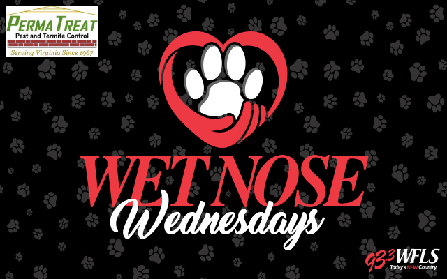 Perma Treat Wet Nose Wednesdays with Steve & Tiffany!