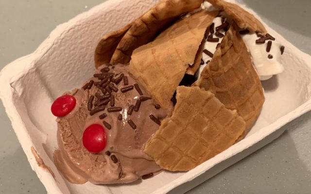 Cicada Shaped Ice Cream Treats