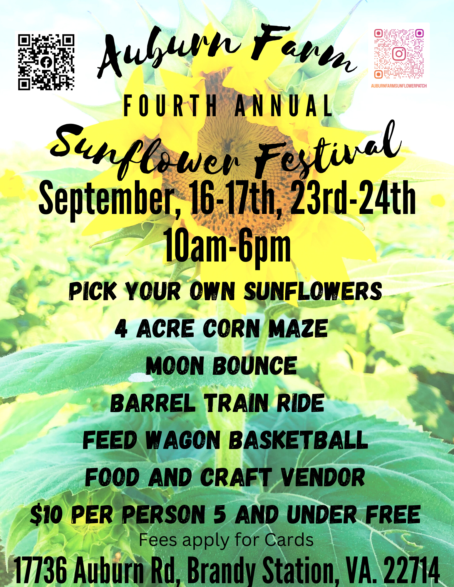 <h1 class="tribe-events-single-event-title">Auburn Farm Sunflower Festival</h1>