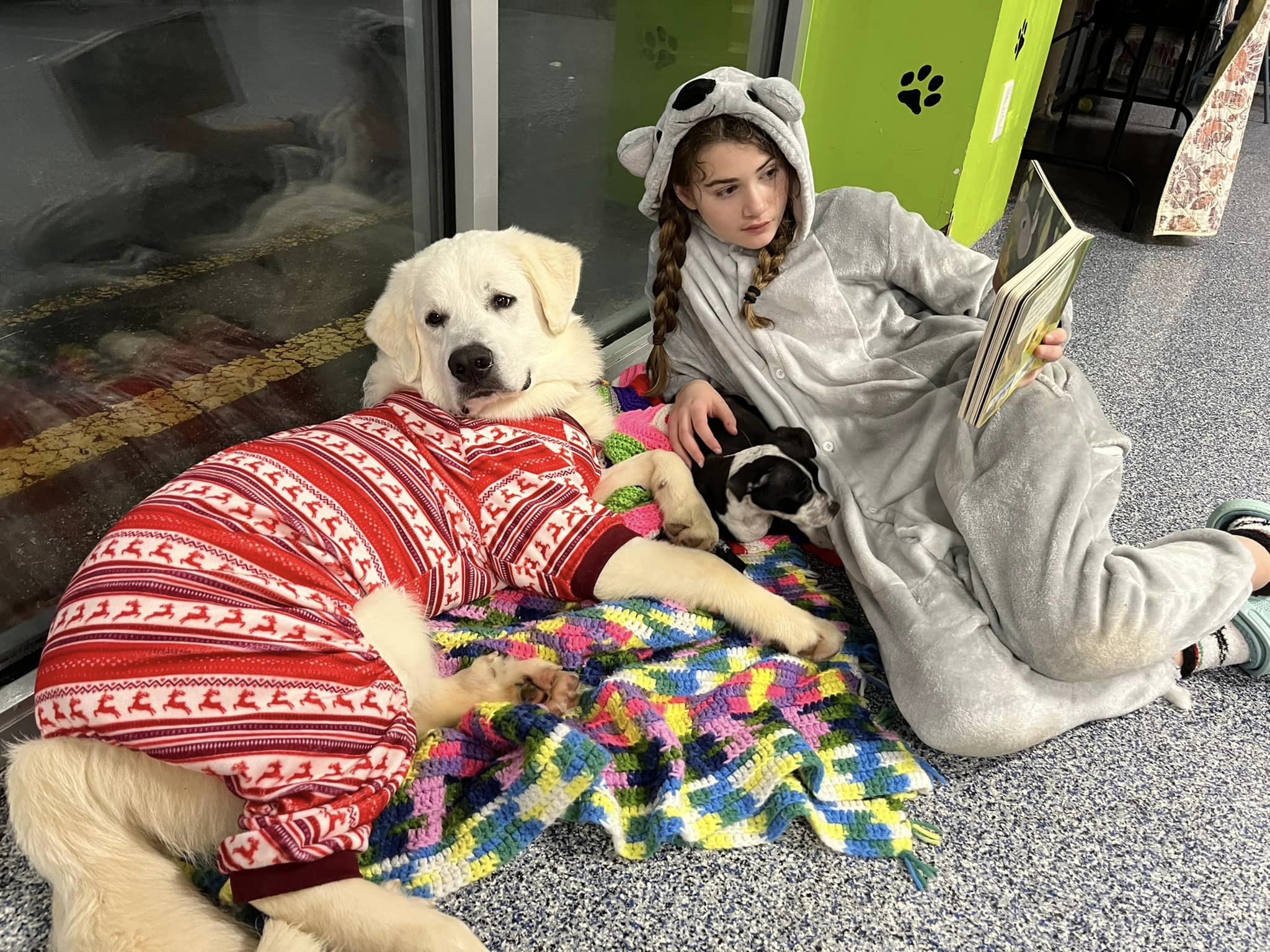 <h1 class="tribe-events-single-event-title">Puppies and Pajamas</h1>