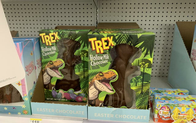 Chocolate Dinosaur..