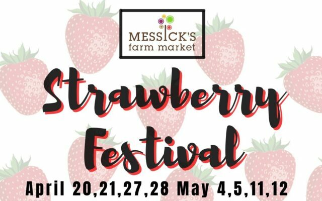 <h1 class="tribe-events-single-event-title">Strawberry Festival</h1>