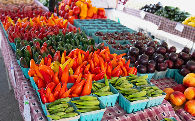 <h1 class="tribe-events-single-event-title">Farmers Market Opening Day</h1>